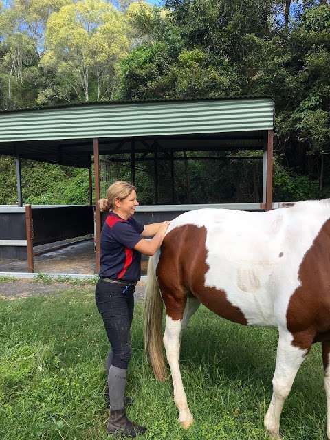 Photo: Brisbane Animal Physiotherapy
